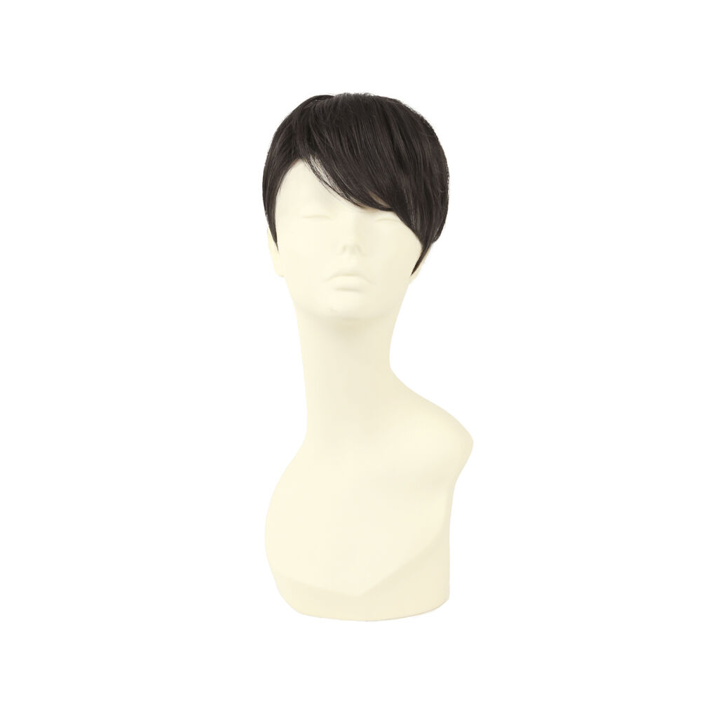 BACKYARD FAMILY「プリシラ prisila ウィッグ ストレートショート メンズ GB-21 通販 男性用部分かつら」|ヘアスタイリング|ブラック2