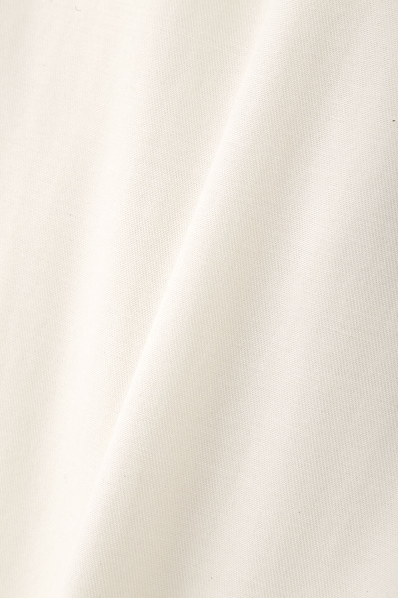 YLEVE 「YLEVE / VISCOSE COTTON PAINTER TROUSERS」|その他|