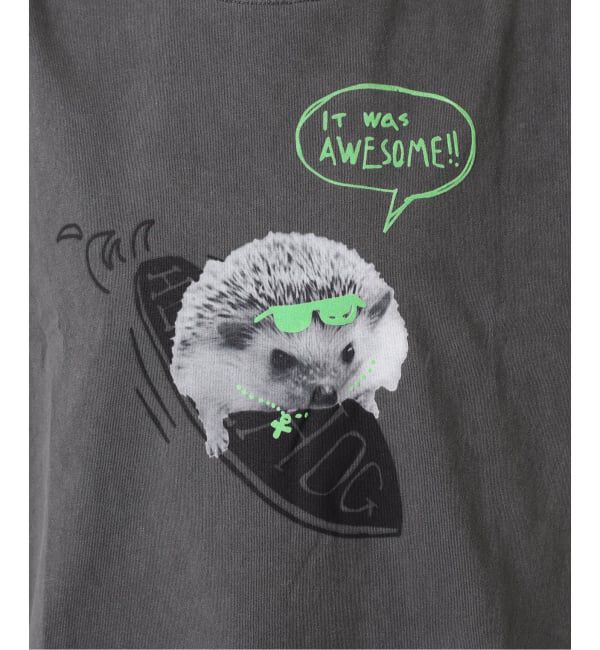 OUTDOOR PRODUCTS Usual Things「仙台店＆WEB限定 ピグメントカットオフ ZOO TEE」|Tシャツ・カットソー|