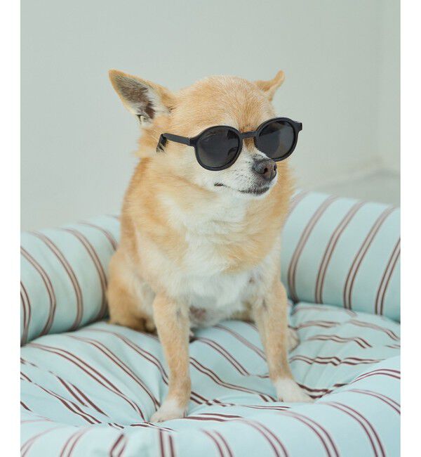ROPE PICNIC PASSAGE「【DOG】ファッショングラス」|その他|