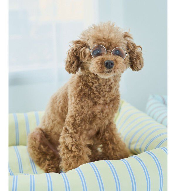 ROPE PICNIC PASSAGE「【DOG】ファッショングラス」|その他|