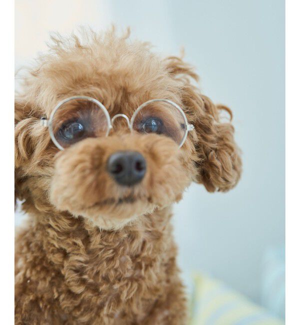 ROPE PICNIC PASSAGE「【DOG】ファッショングラス」|その他|