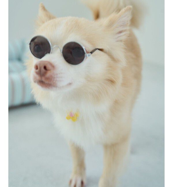 ROPE PICNIC PASSAGE「【DOG】ファッショングラス」|その他|