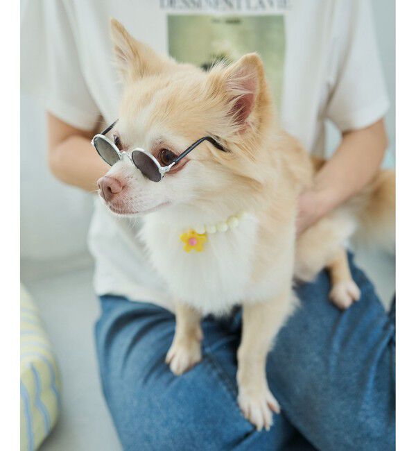 ROPE PICNIC PASSAGE「【DOG】ファッショングラス」|その他|