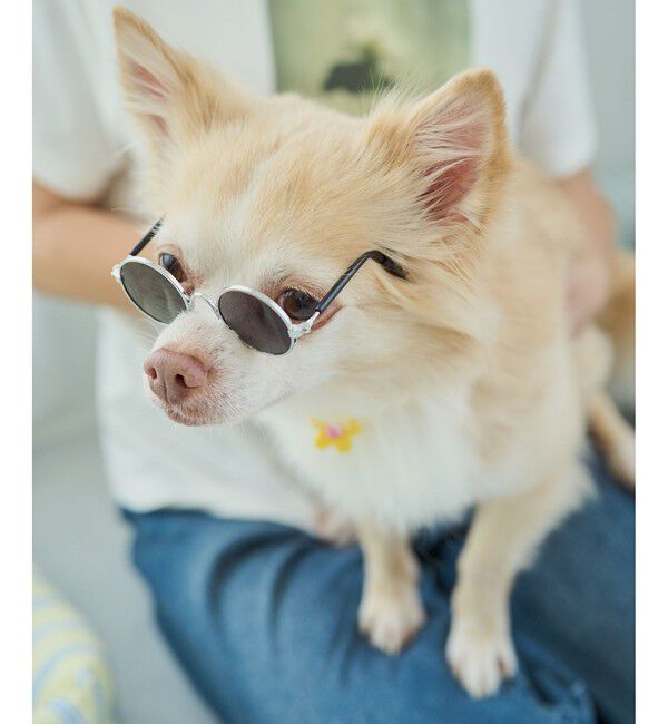 ROPE PICNIC PASSAGE「【DOG】ファッショングラス」|その他|