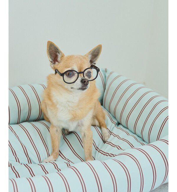 ROPE PICNIC PASSAGE「【DOG】ファッショングラス」|その他|