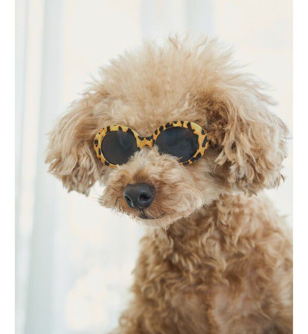 ROPE PICNIC PASSAGE「【DOG】ファッショングラス」|その他|
