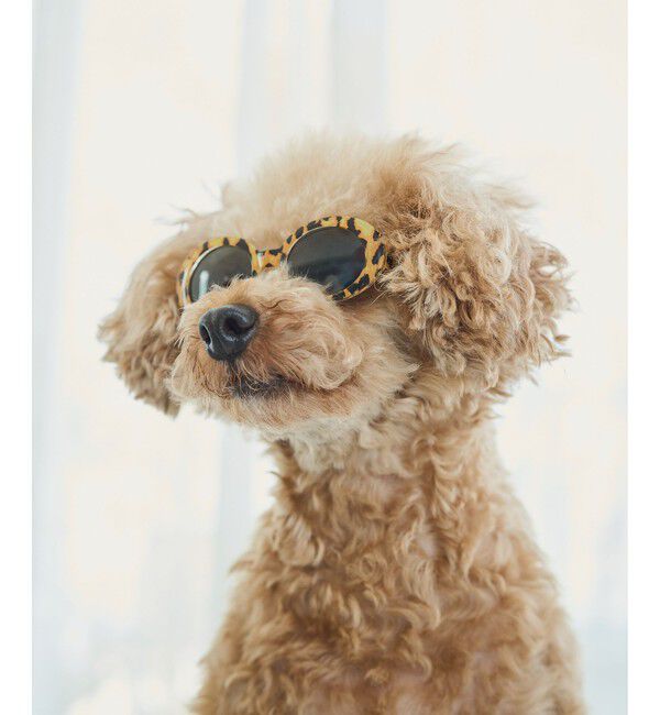 ROPE PICNIC PASSAGE「【DOG】ファッショングラス」|その他|