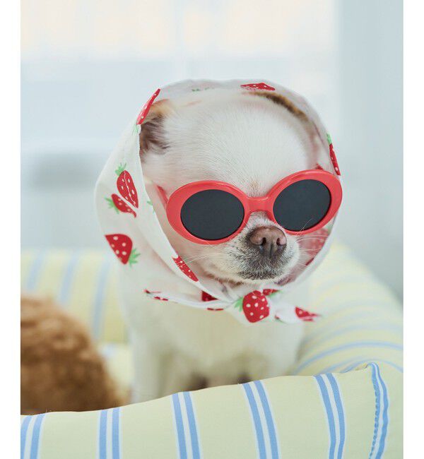 ROPE PICNIC PASSAGE「【DOG】ファッショングラス」|その他|