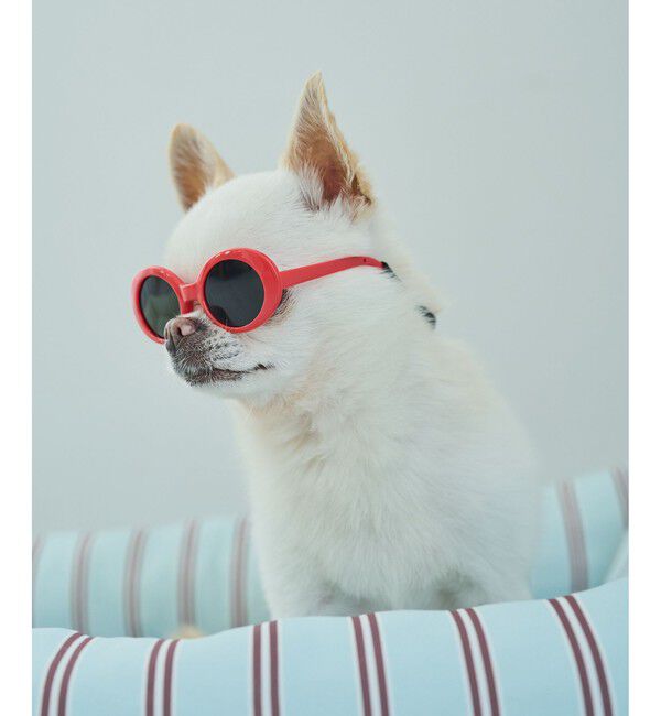ROPE PICNIC PASSAGE「【DOG】ファッショングラス」|その他|