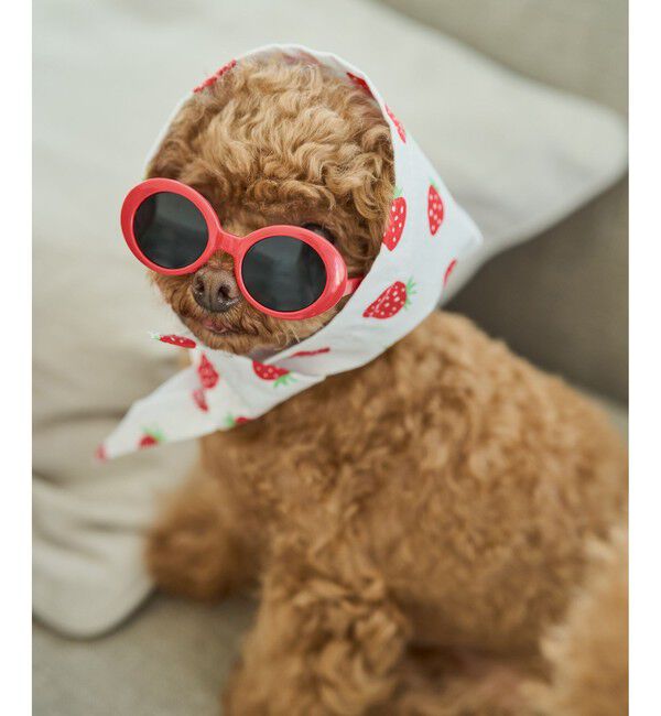 ROPE PICNIC PASSAGE「【DOG】ファッショングラス」|その他|