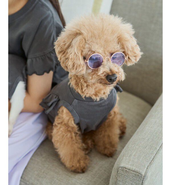 ROPE PICNIC PASSAGE「【DOG】ファッショングラス」|その他|