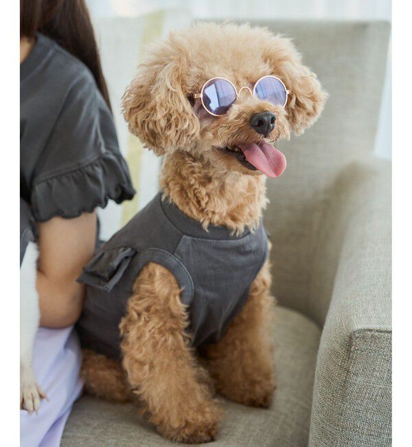 ROPE PICNIC PASSAGE「【DOG】ファッショングラス」|その他|