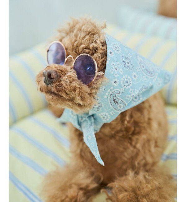 ROPE PICNIC PASSAGE「【DOG】ファッショングラス」|その他|