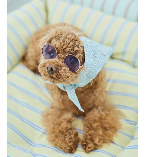 ROPE PICNIC PASSAGE「【DOG】ファッショングラス」|その他|