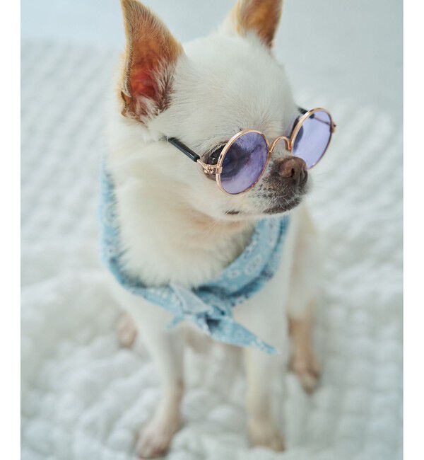ROPE PICNIC PASSAGE「【DOG】ファッショングラス」|その他|