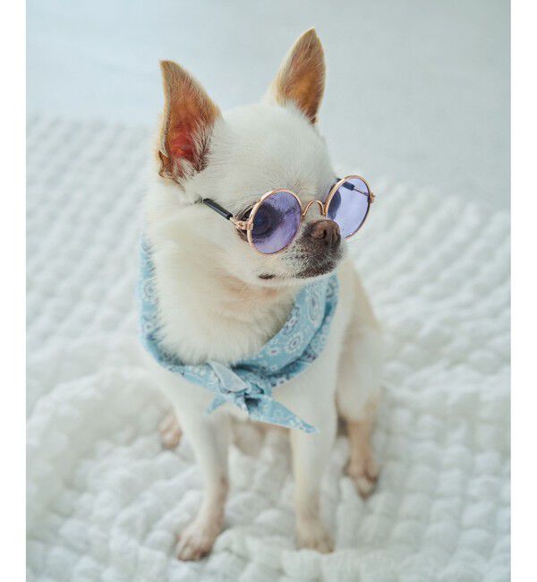 ROPE PICNIC PASSAGE「【DOG】ファッショングラス」|その他|