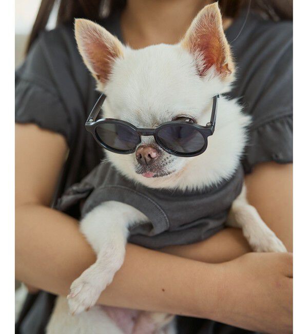 ROPE PICNIC PASSAGE「【DOG】ファッショングラス」|その他|