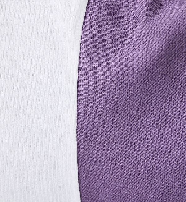 ABAHOUSE「【FRUIT OF THE LOOM/フルーツ・オブ・ザ・ルーム】リンゴ＆メッセ」|Tシャツ・カットソー|