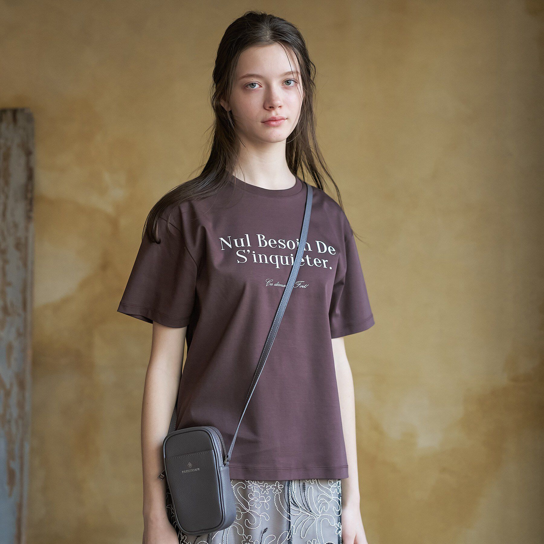 DRESSTERIOR「【接触冷感／抗菌防臭／消臭】アイスクリアコットンフレンチロゴT」|Tシャツ・カットソー|