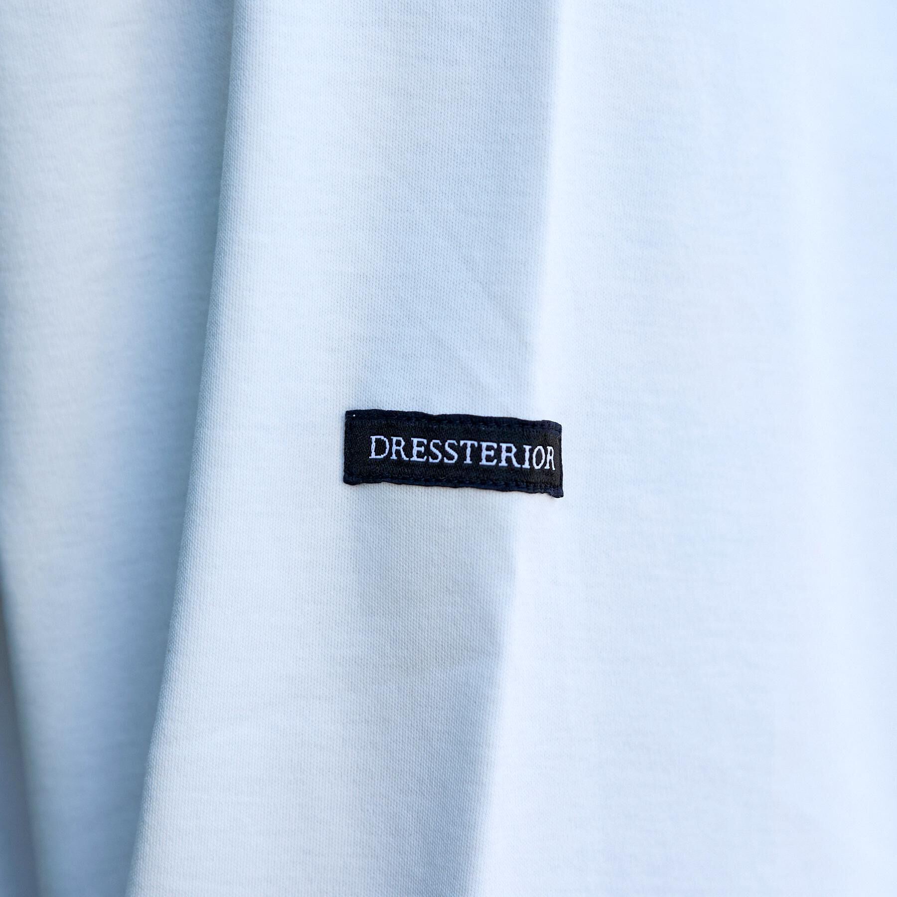 DRESSTERIOR「【接触冷感／抗菌防臭／消臭】ICE CLEAR COTTON クルーネックロンT」|Tシャツ・カットソー|