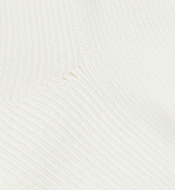 BEAUTY&YOUTH UNITED ARROWS「 2ライン パイル クルー ソックス」|ソックス|