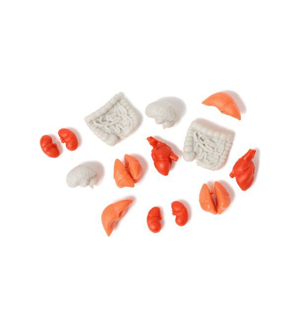 bPr BEAMS「Archie McPhee / ITTY BITTY」|その他|BODY_PARTS
