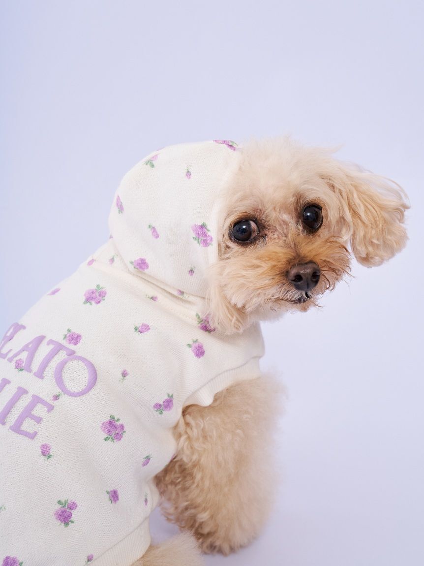  GELATO PIQUE CAT&DOG「【CAT&DOG】フラワー柄裏毛フーディー」|その他|