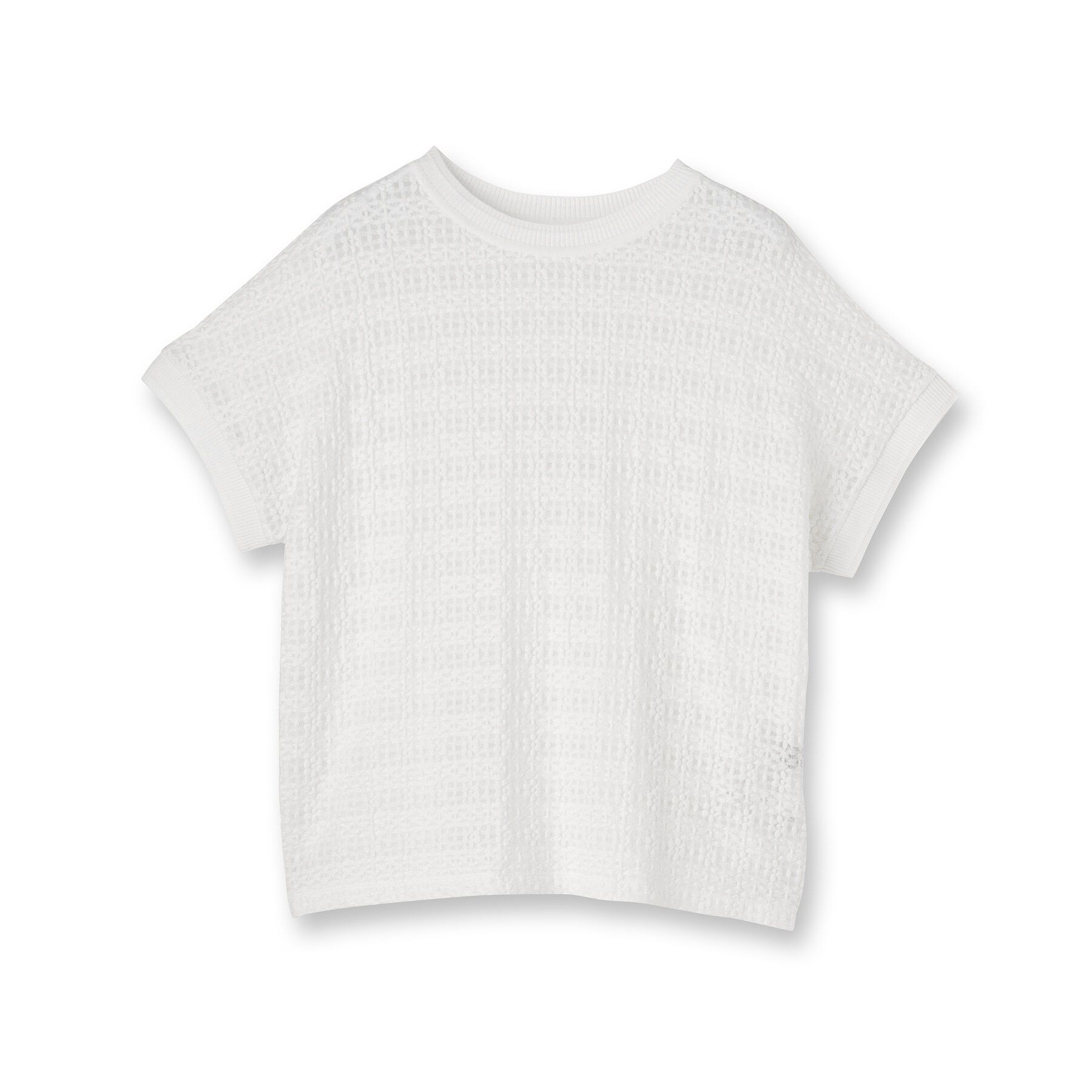 UNTITLED「【洗える／シアー】ミニヨンレースプルオーバー」|Tシャツ・カットソー|