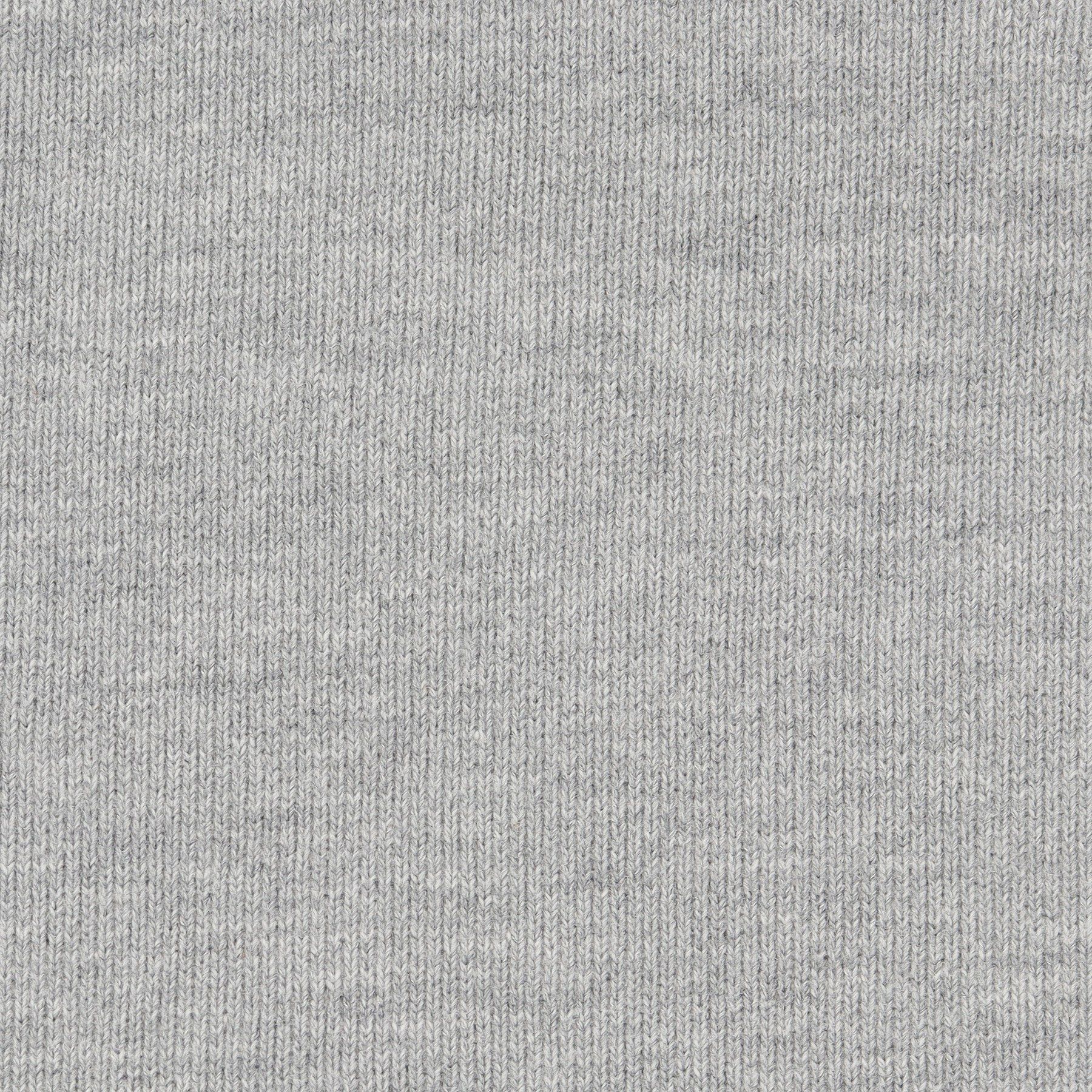 DRESSTERIOR「REMI RELIEF（レミレリーフ）SP加工裏毛ZIPパーカ New Fit」|パーカー|