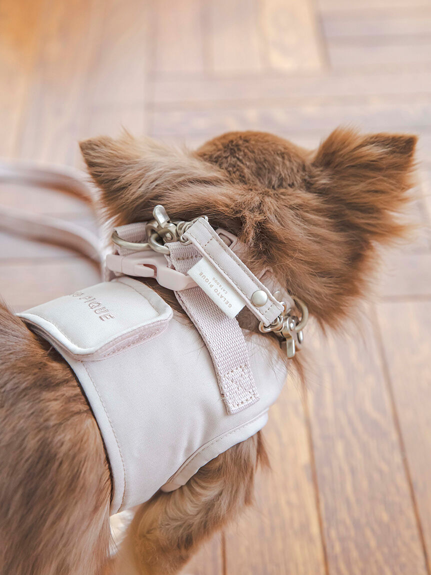  GELATO PIQUE CAT&DOG「【CAT&DOG】【販路限定商品】リード」|その他|