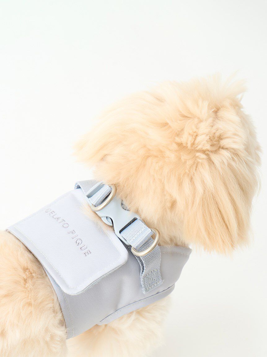  GELATO PIQUE CAT&DOG「【CAT&DOG】【販路限定商品】ハーネス」|その他|
