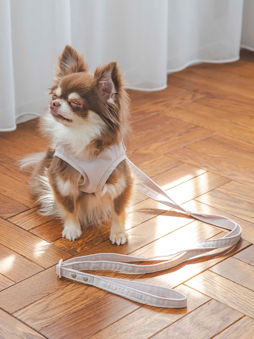  GELATO PIQUE CAT&DOG「【CAT&DOG】【販路限定商品】ハーネス」|その他|