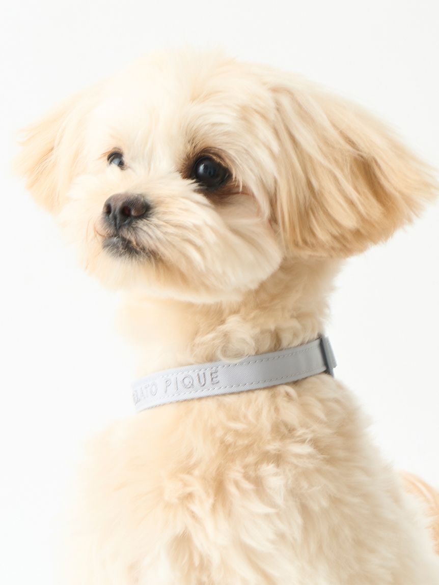  GELATO PIQUE CAT&DOG「【CAT&DOG】【販路限定商品】首輪」|その他|