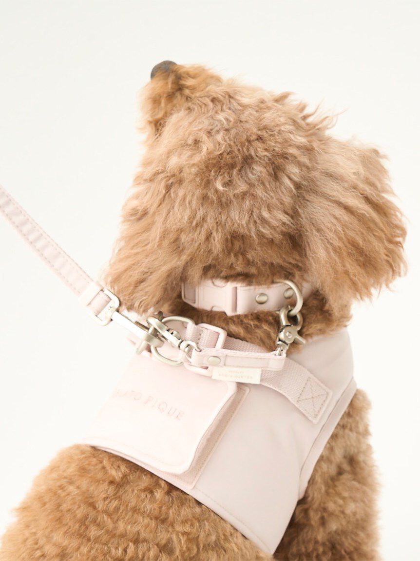  GELATO PIQUE CAT&DOG「【CAT&DOG】【販路限定商品】首輪」|その他|