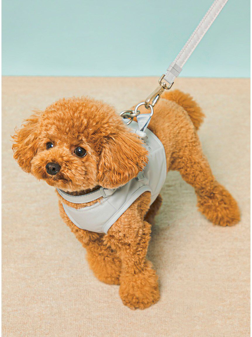  GELATO PIQUE CAT&DOG「【CAT&DOG】【販路限定商品】首輪」|その他|