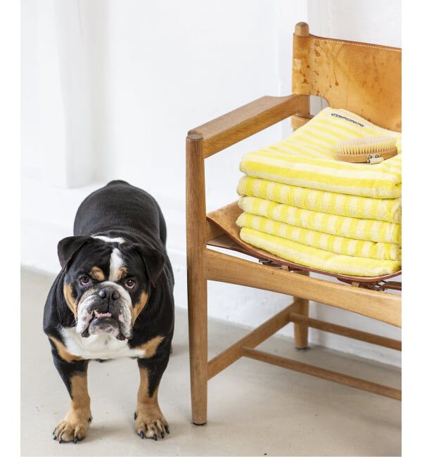 journal standard Furniture「【BONGUSTA】 BATH TOWEL　バスタオル」|タオル|