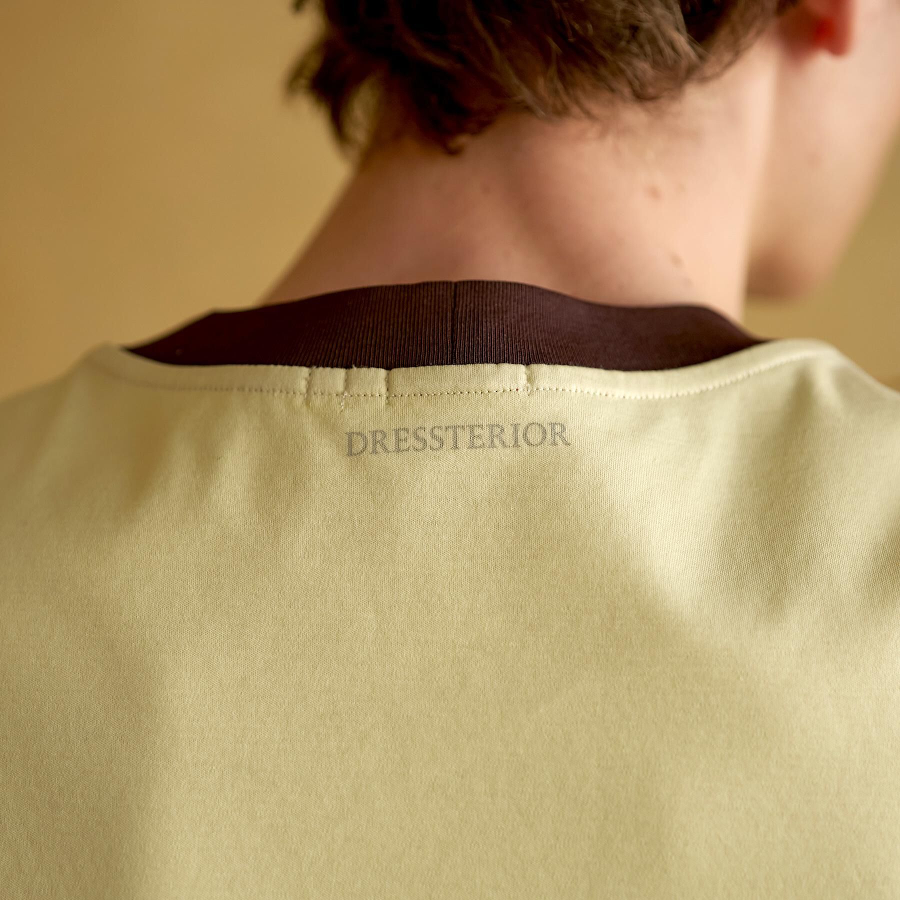 DRESSTERIOR「【接触冷感／抗菌防臭／消臭】ICE CLEAR COTTON フロッグオーバーフィットTシャツ」|Tシャツ・カットソー|