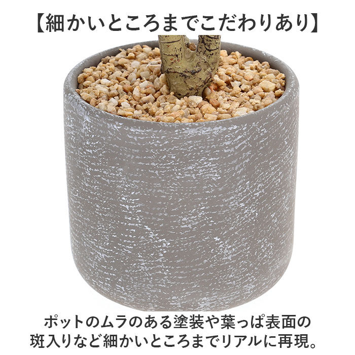 BACKYARD FAMILY「観葉植物 フェイク 大型 通販 フェイクグリーン アーティフィシャルグリーン インテリアグリーン」|その他|