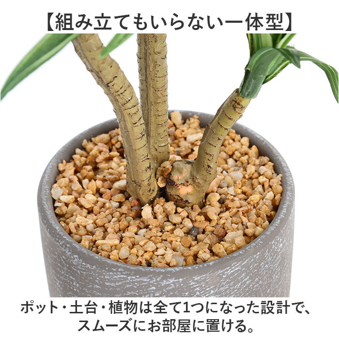 BACKYARD FAMILY「観葉植物 フェイク 大型 通販 フェイクグリーン アーティフィシャルグリーン インテリアグリーン」|その他|