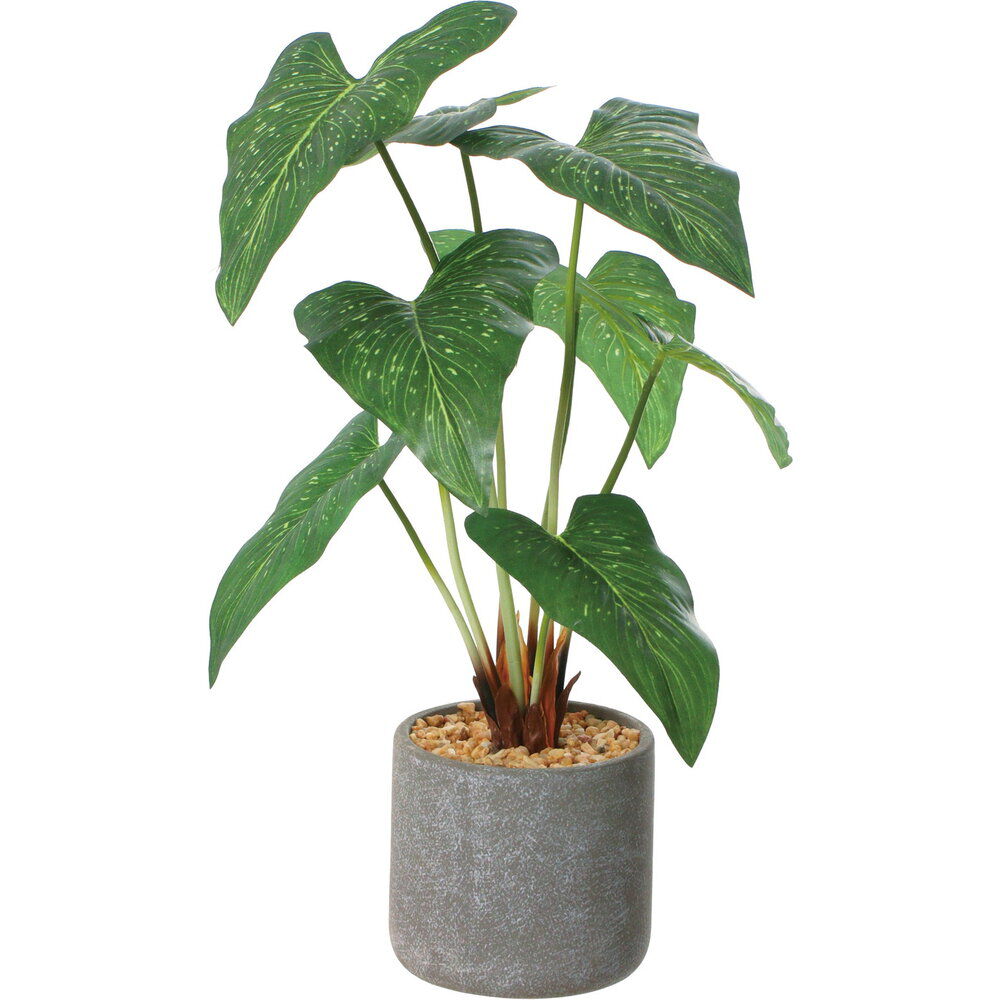 BACKYARD FAMILY「観葉植物 フェイク 大型 通販 フェイクグリーン アーティフィシャルグリーン インテリアグリーン」|その他|その他2