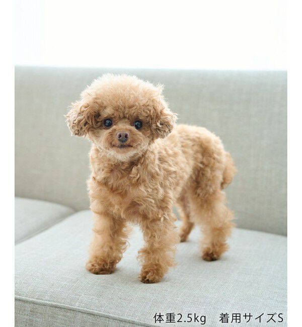 ROPE PICNIC PASSAGE「【DOG】RENU photo Tee/UVカット・接触冷感・リンクコーデ」|その他|