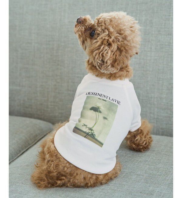 ROPE PICNIC PASSAGE「【DOG】RENU photo Tee/UVカット・接触冷感・リンクコーデ」|その他|