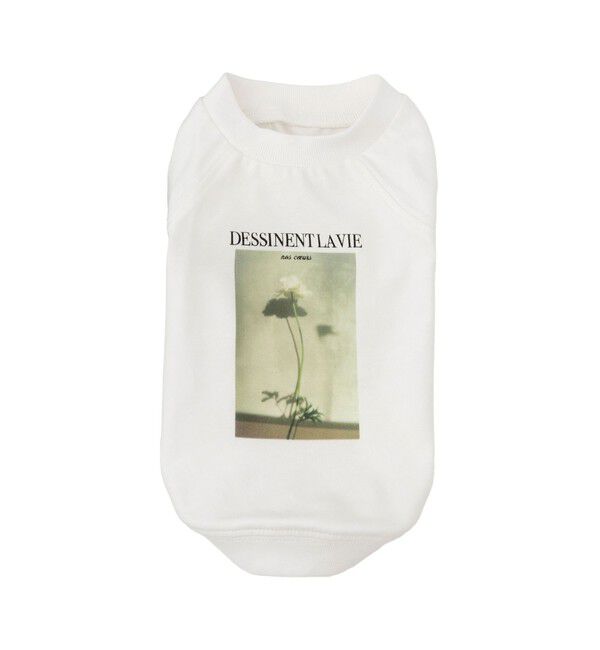 ROPE PICNIC PASSAGE「【DOG】RENU photo Tee/UVカット・接触冷感・リンクコーデ」|その他|