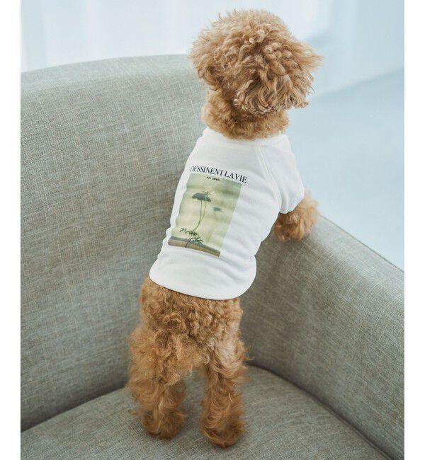 ROPE PICNIC PASSAGE「【DOG】RENU photo Tee/UVカット・接触冷感・リンクコーデ」|その他|