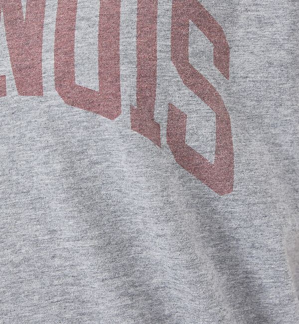 Rouge vif「【REMI RELIEF / レミレリーフ】LW加工/ロゴT/ILLNOIS」|Tシャツ・カットソー|