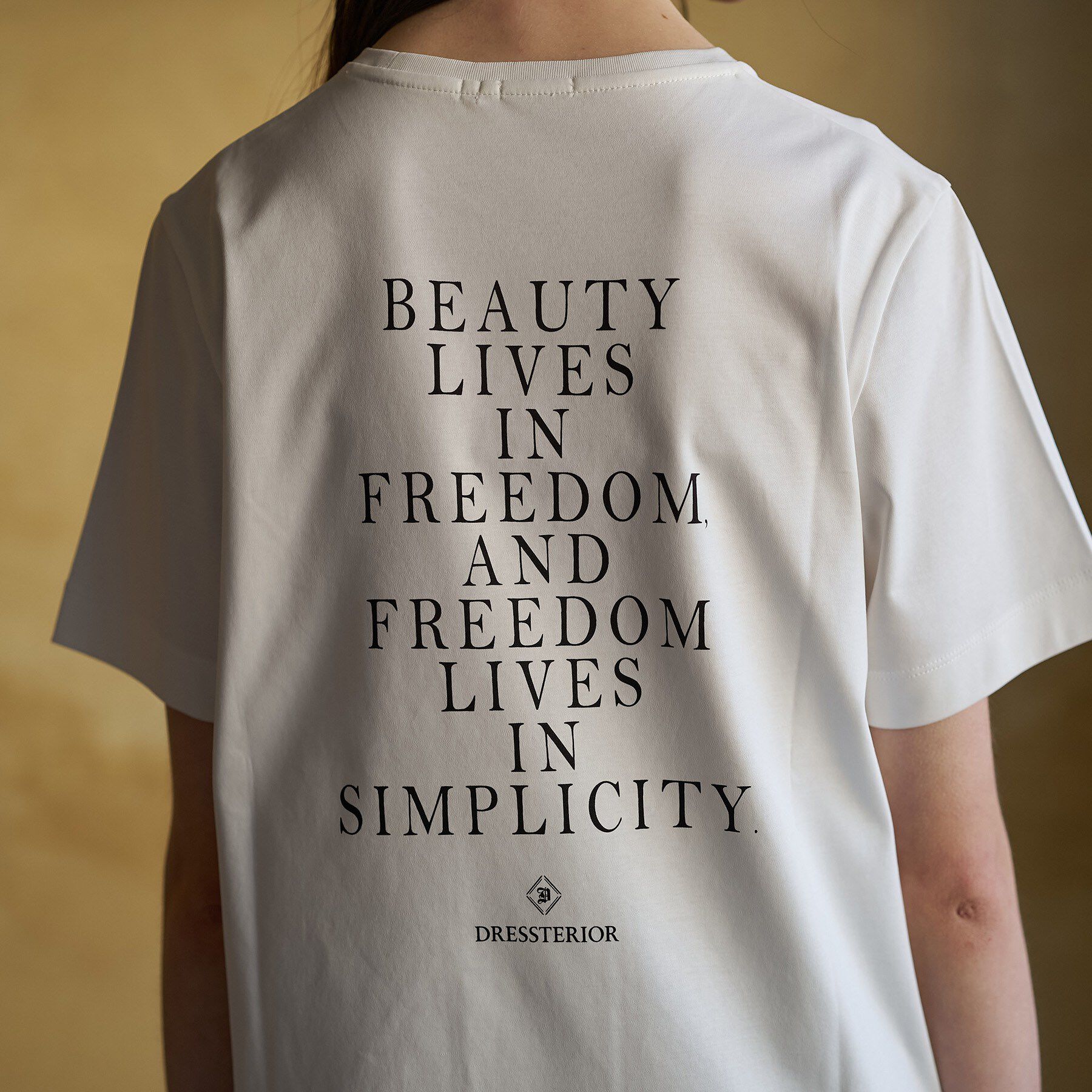 DRESSTERIOR「【接触冷感／抗菌防臭／消臭】アイスクリアコットン PARIS Tシャツ」|Tシャツ・カットソー|
