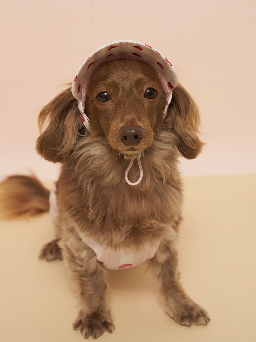  GELATO PIQUE CAT&DOG「【CAT&DOG】ソフトサンバイザー」|その他|