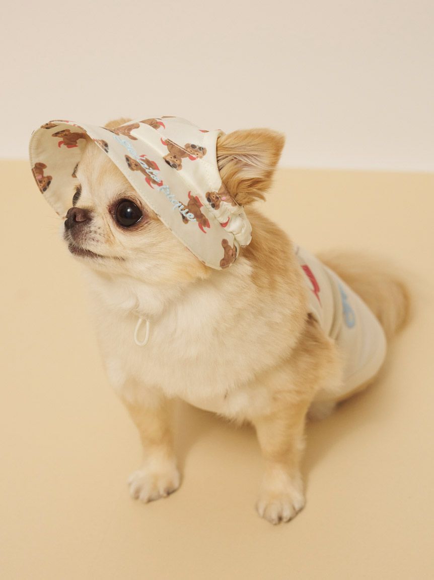  GELATO PIQUE CAT&DOG「【CAT&DOG】サマーベア柄ハット」|その他|IVR