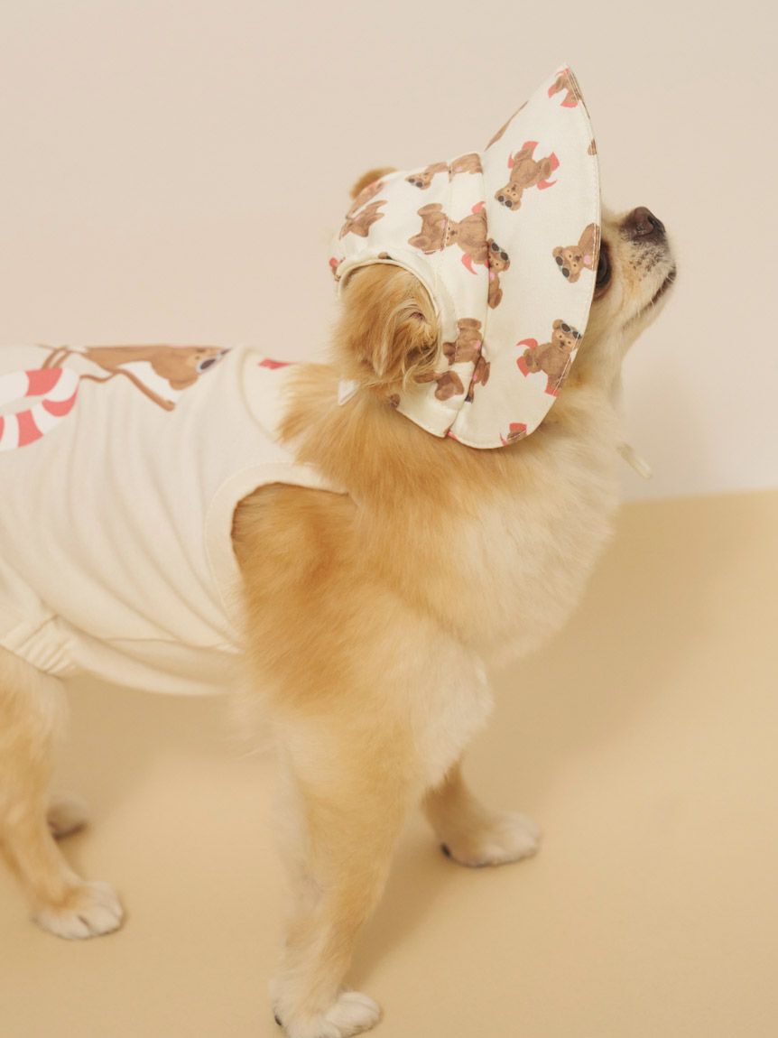  GELATO PIQUE CAT&DOG「【CAT&DOG】サマーベア柄ハット」|その他|